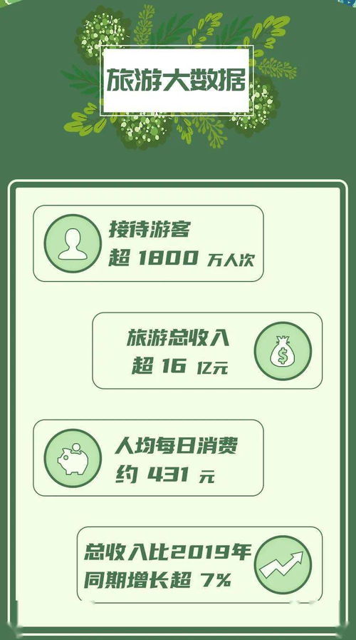 年轻人五一流行起“捡搭子”旅游